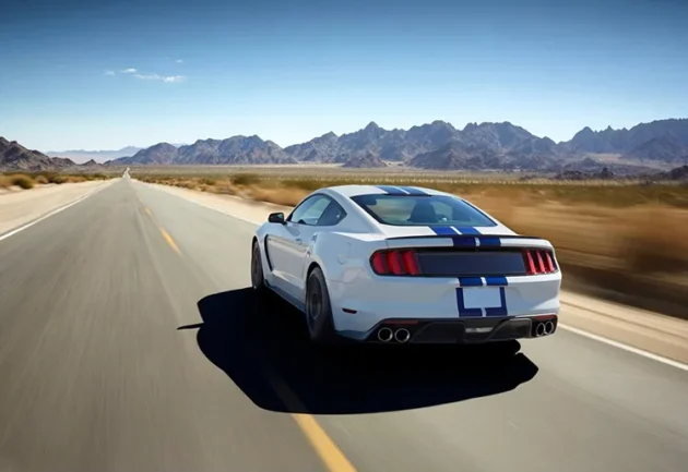 Mustang 2015-2017 GT350 Style Car Bumper Rear Diffuser Lip With Tail Tips Pipe - Image 5