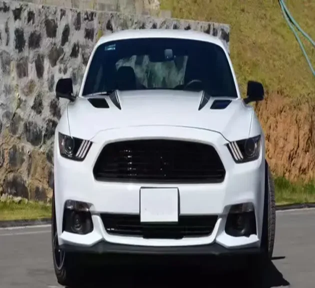 Ford Mustang 2015-2017 Front Bumper Grille Parts - Image 3