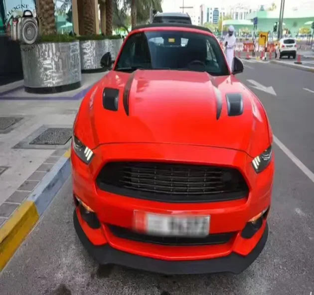 Ford Mustang 2015-2017 Front Bumper Grille Parts - Image 4