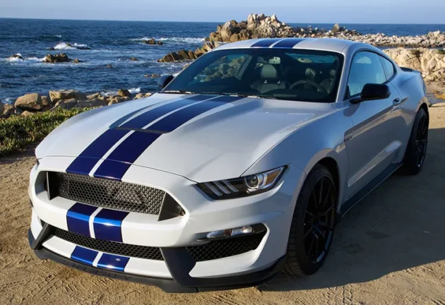 Mustang 2015-2017 GT350 Style Bumper Body Parts Aluminum Hood - Image 5