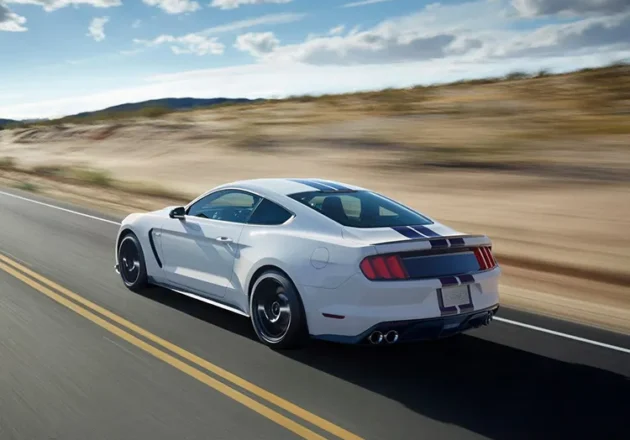 Mustang 2015-2017 GT350 Style Car Bumper Rear Diffuser Lip With Tail Tips Pipe - Image 4