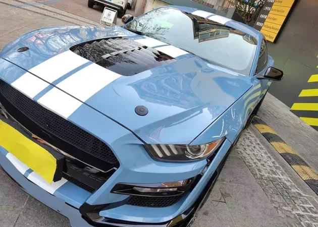 Mustang 2015-2017 Aluminum Hood - Image 4