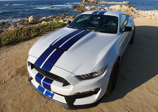 Mustang 2015-2017 GT350 Style Bumper Body Parts Aluminum Hood - Image 6