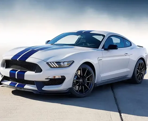 Mustang 2015-2021 GT350 Style PP Material Car Rear Bumper Body Accessories Side Skirt - Image 4