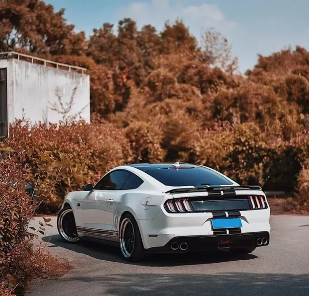 Mustang 2015-2021 Auto Bumper Parts GT500 Style Prime Painting Rear Bumper - Image 5